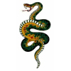 ^gD[V[@